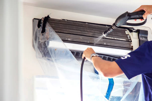 Air Duct Mold Removal in WV